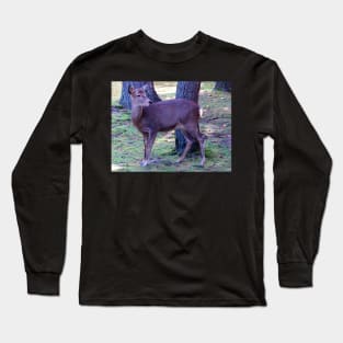 Deer Long Sleeve T-Shirt